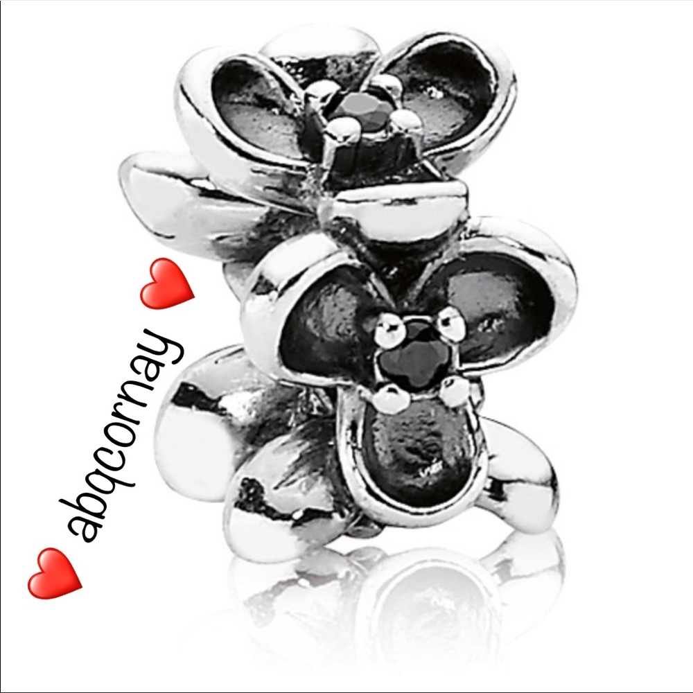 EUC Pandora 790861CZK Sterling Silver Wanda's Garden I Spacer w/ Black Zirconia
